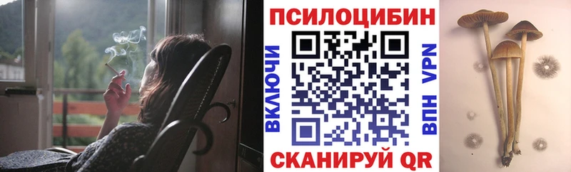 Галлюциногенные грибы Psilocybe  Лесной 